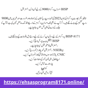 BISP Check Online Portal